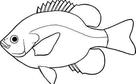 Lovely of fish clipart black and white letter master outline 5 jpeg ...