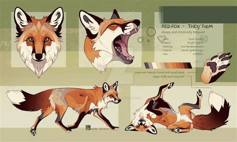 Cute Red Fox Drawing