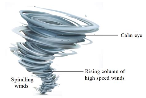 Labelled Cyclone Diagram