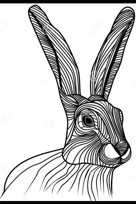 Hare line drawing | Abstract sketches, Line drawing, Bunny art