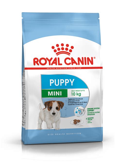 Mini Puppy | Royal Canin Malaysia