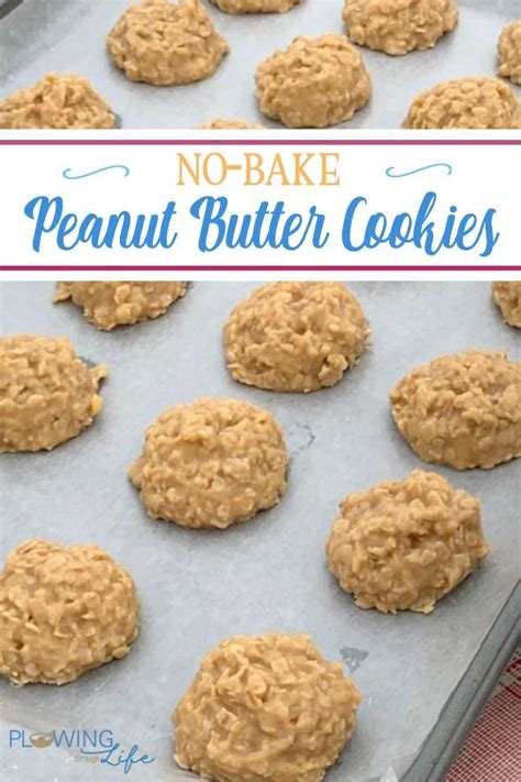 No-Bake Peanut Butter Drop Cookies | Baking recipes cookies, Drop ...