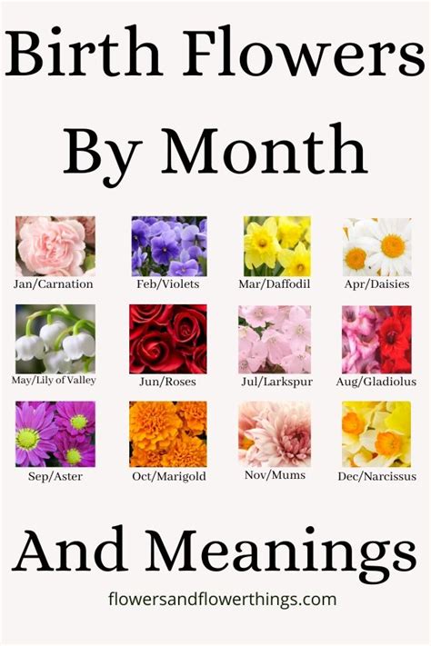 Birth Flowers By Month And Meaning | Flowersandflowerthings