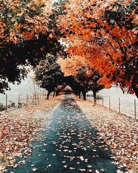 We Know What % Autumn You Are Based On Your Aesthetic Taste | Autumn ...