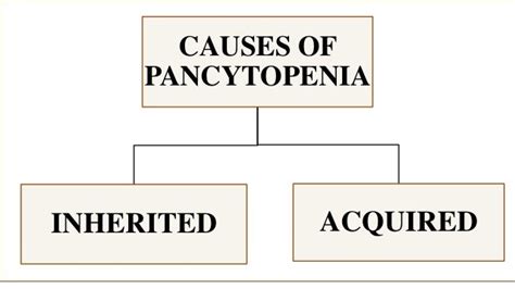 Laboratory investigations in pancytopenia