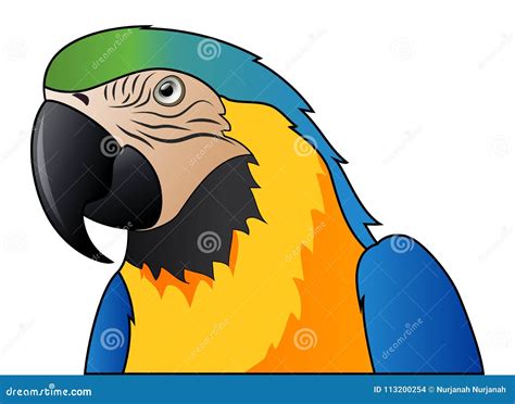 Blue Macaw Cartoon Stock Illustrations – 1,877 Blue Macaw Cartoon Stock ...