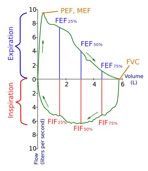 Pulmonary Function Technologist Review – RT PowerPoints