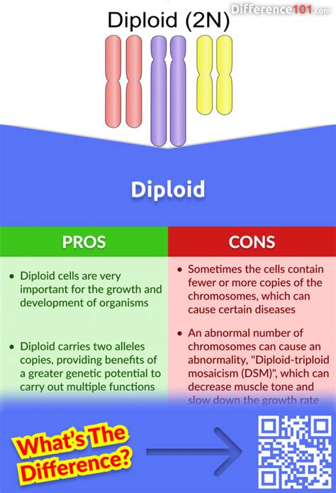 Diploid vs. Haploid: 6 Key Differences, Pros & Cons, Examples | Difference 101