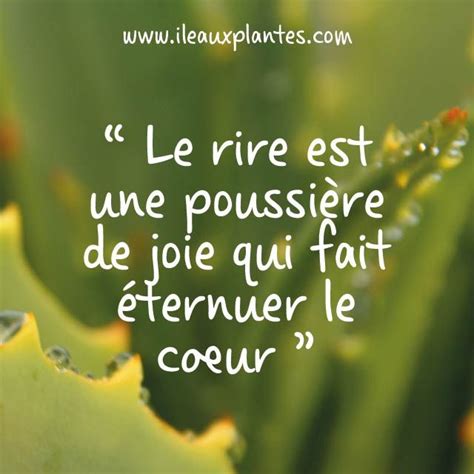 Le rire est une poussière de joie qui fait éternuer le coeur ” #citation #pensée | Citations ...