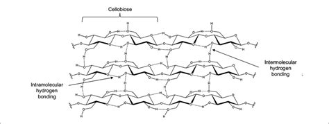 | Cellobiose structure and the intricated network of intra-and... | Download Scientific Diagram