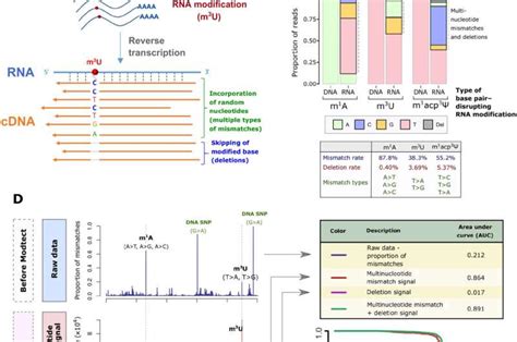 Newly developed software unveils relationships between RNA modifications and cancers