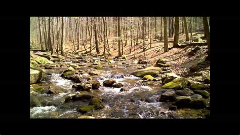 Helen Ga Camping - YouTube