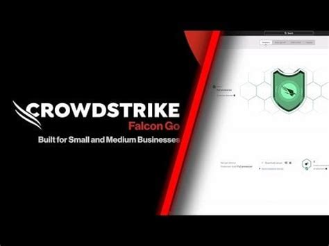 CrowdStrike Falcon Go Demo : r/crowdstrike