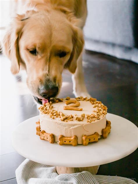 Pumpkin Dog Cake Recipe – If You Give a Blonde a Kitchen