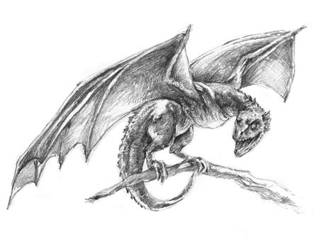 Realistic Dragon Drawing at PaintingValley.com | Explore collection of Realistic Dragon Drawing
