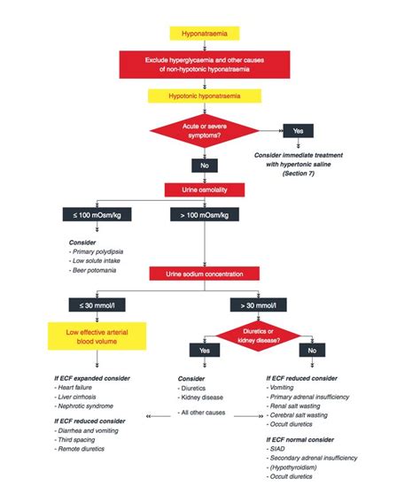 Scoping Review Flow Chart - Flowchart Examples