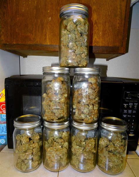 Learn How to Store Weed So It Lasts! | Grow Weed Easy