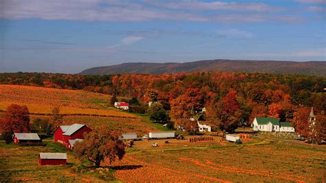 Pumpkin Patch – Bing Wallpaper Download