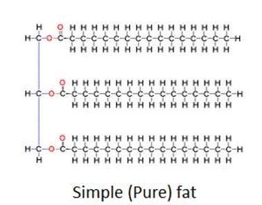 Lipids - BIOLOGY4ISC