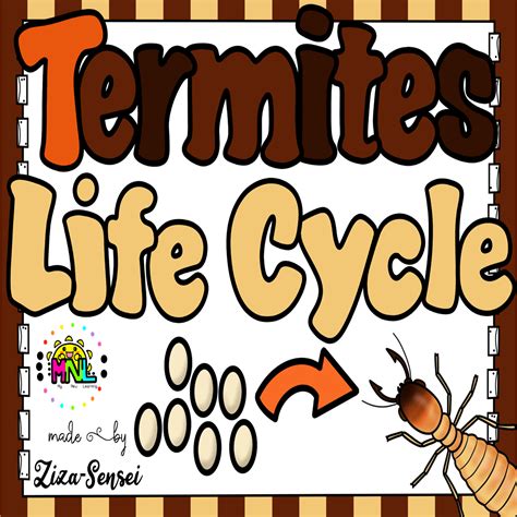 Termite life cycle science pack 2nd grade flip book included – Artofit