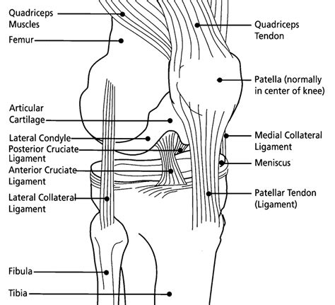 YOGA STRETCHES: YOGA KNEE TO CHEST POSE