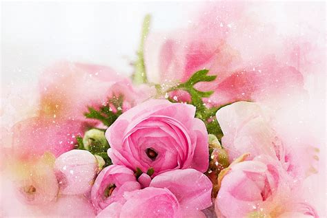 Flowers Roses Bouquet · Free image on Pixabay