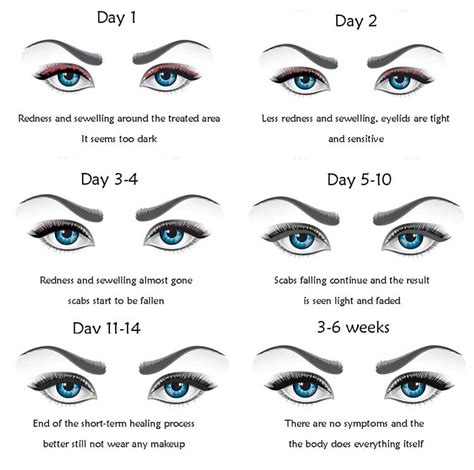 Eyeliner tattoo healing process - Day by day-MB ELEGANT MCIRO