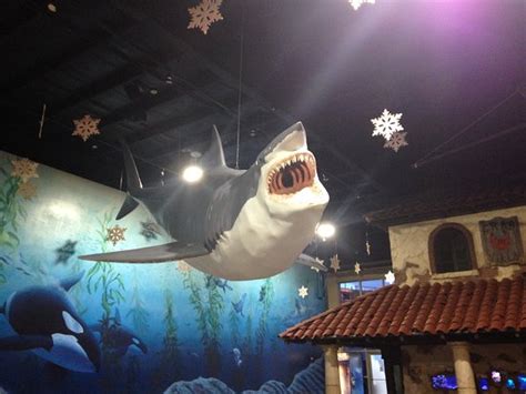 Long Island Aquarium (Riverhead) - 2020 All You Need to Know BEFORE You Go (with Photos ...