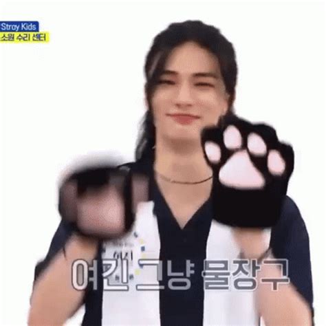 Hyunjin Cat Hyunjin Cat Boy GIF – Hyunjin Cat Hyunjin Cat Boy Hyunjin Stray Kids – discover and ...