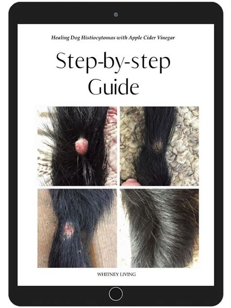 Histiocytoma Step-by-step Guide | Acessórios para cães, Cães