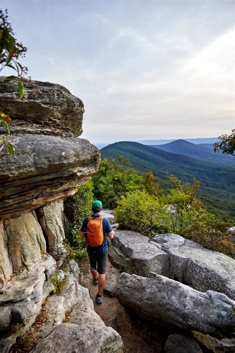 Virginia Hiking for Beginners: Trail Picks, Hiking Tips, & More