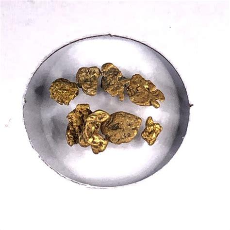 14 Grains of Raw Natural Gold Nuggets High Purity | Property Room