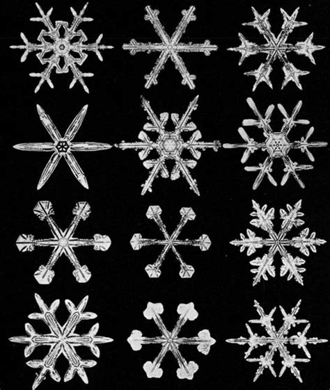 19th-Century Photos of Snowflakes Under a Microscope Show the Captivating Beauty of Nature's ...