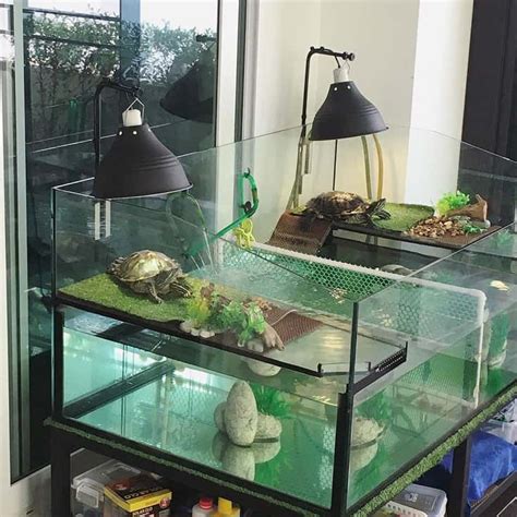 Cool, Cheap Turtle Tank Ideas - Setup Guide & Affordable Habitats