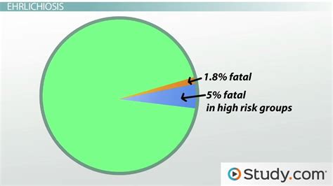 Human Ehrlichiosis: Causes, Symptoms, Treatment & Prevention - Lesson | Study.com