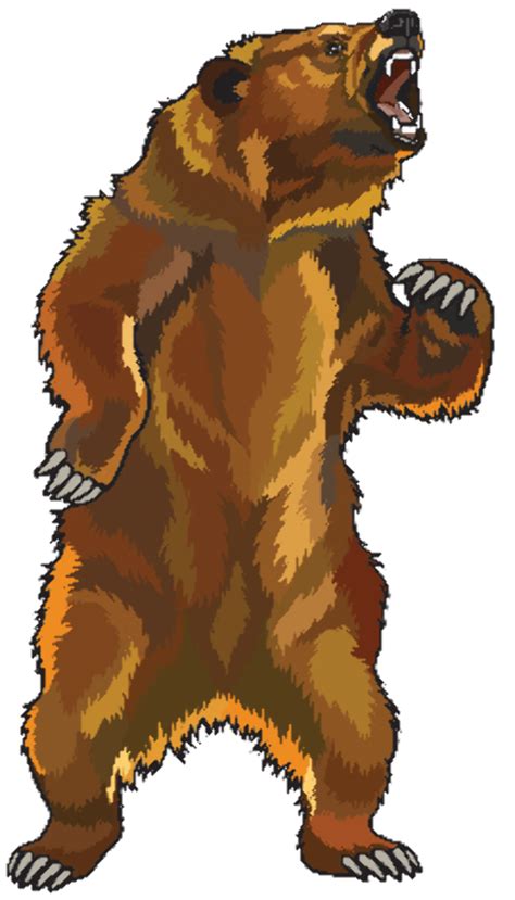 Download High Quality Bear Clipart Grizzly Transparent Png Images Art | Images and Photos finder