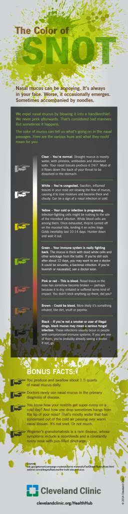 Snot or Not: An INFOGRAPHIC Explaining Nose Mucus - Medivizor