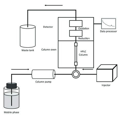 Schematic diagram of the HPLC-ECD system (Reprinted with permission... | Download Scientific Diagram