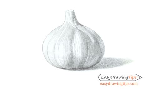 How to Draw Garlic Step by Step Tutorial - EasyDrawingTips