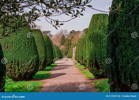 Traditional English Garden in Spring Stock Photo - Image of flowers ...