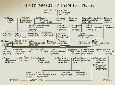 Plantagenet - SangREALITY NOW, 2017