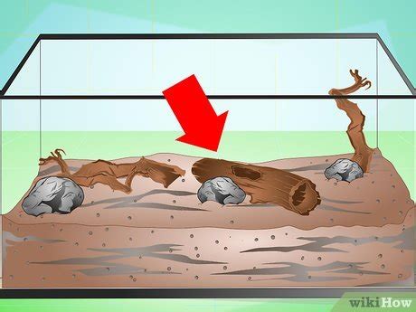 How to Make a Millipede Habitat (with Pictures) - wikiHow