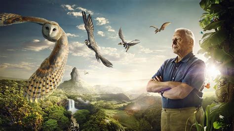 David Attenborough's Conquest Of The Skies : ABC iview