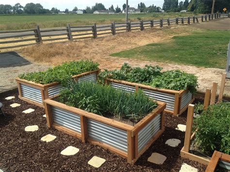 Garden Boxes by Easy Gardeners | Etsy Backyard Vegetable Gardens ...