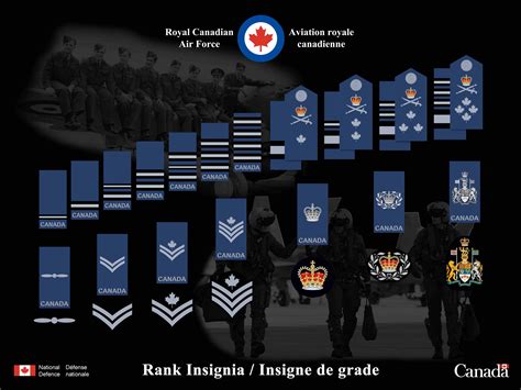 Royal Canadian Air Force Ranks and Insignia's [1000 × 750] : MilitaryPorn