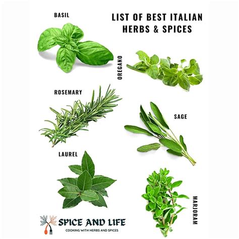 List Of Best Italian Herbs and Spices | Spice and Life