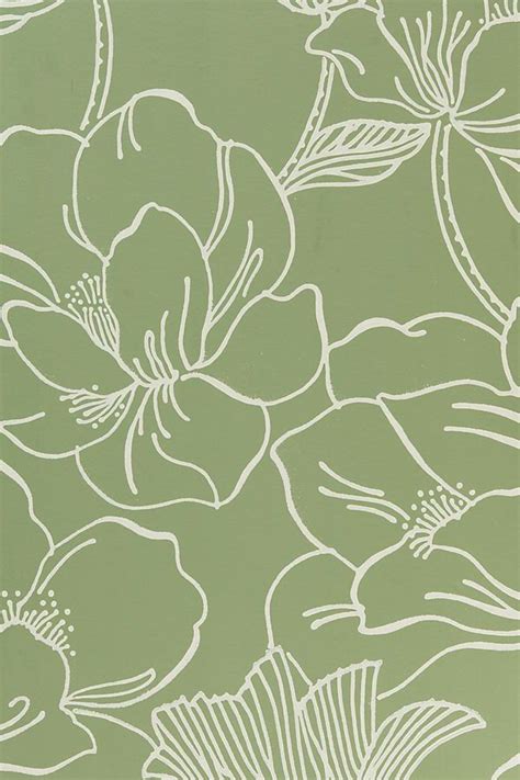 Sage Green Wallpaper - Wallpaper Sun