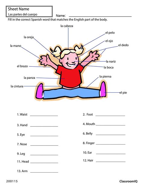 8+ Body Parts In Spanish Worksheet For Preschool | Spanish lessons for ...