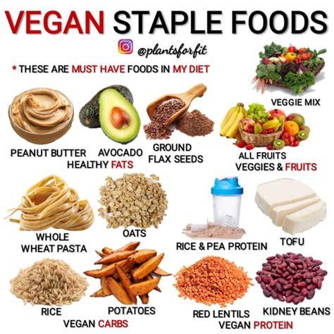 HEALTH ADVICE | VEGAN RECIPES on Instagram: “My VEGAN Diet STAPLES!🥦🍓 ...