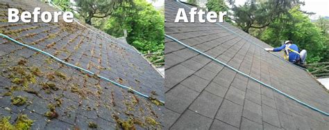 Asphalt Shingle Roof Cleaning | Oregon Roof Cleaning Services